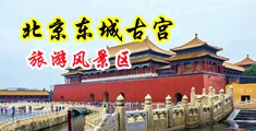 粗鸡巴操双洞视频中国北京-东城古宫旅游风景区